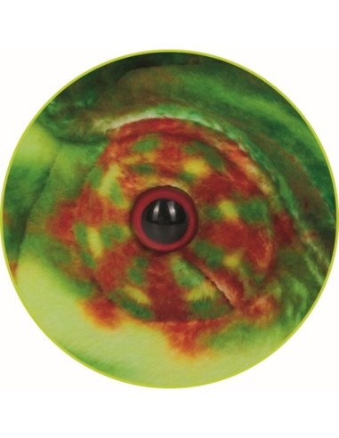 Knuffel kameleon - 60 cm