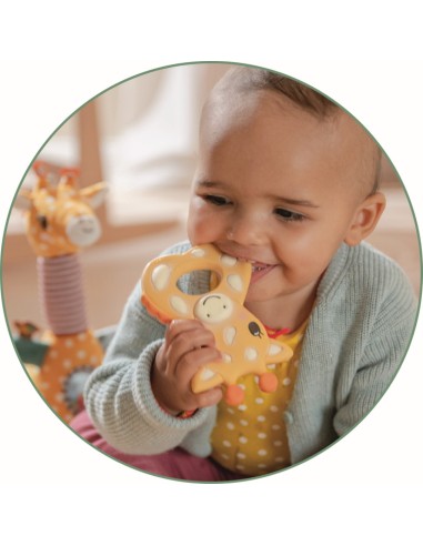 Display met 12 natuurlijke bijtringen - 3...