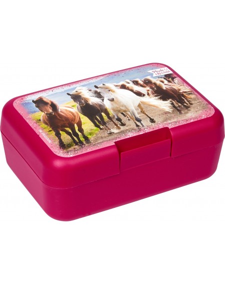 Lunchbox Paard