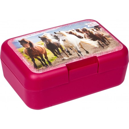 Lunchbox Paard
