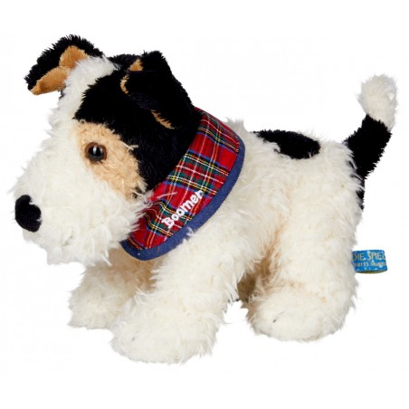 Foxterrier Boomer