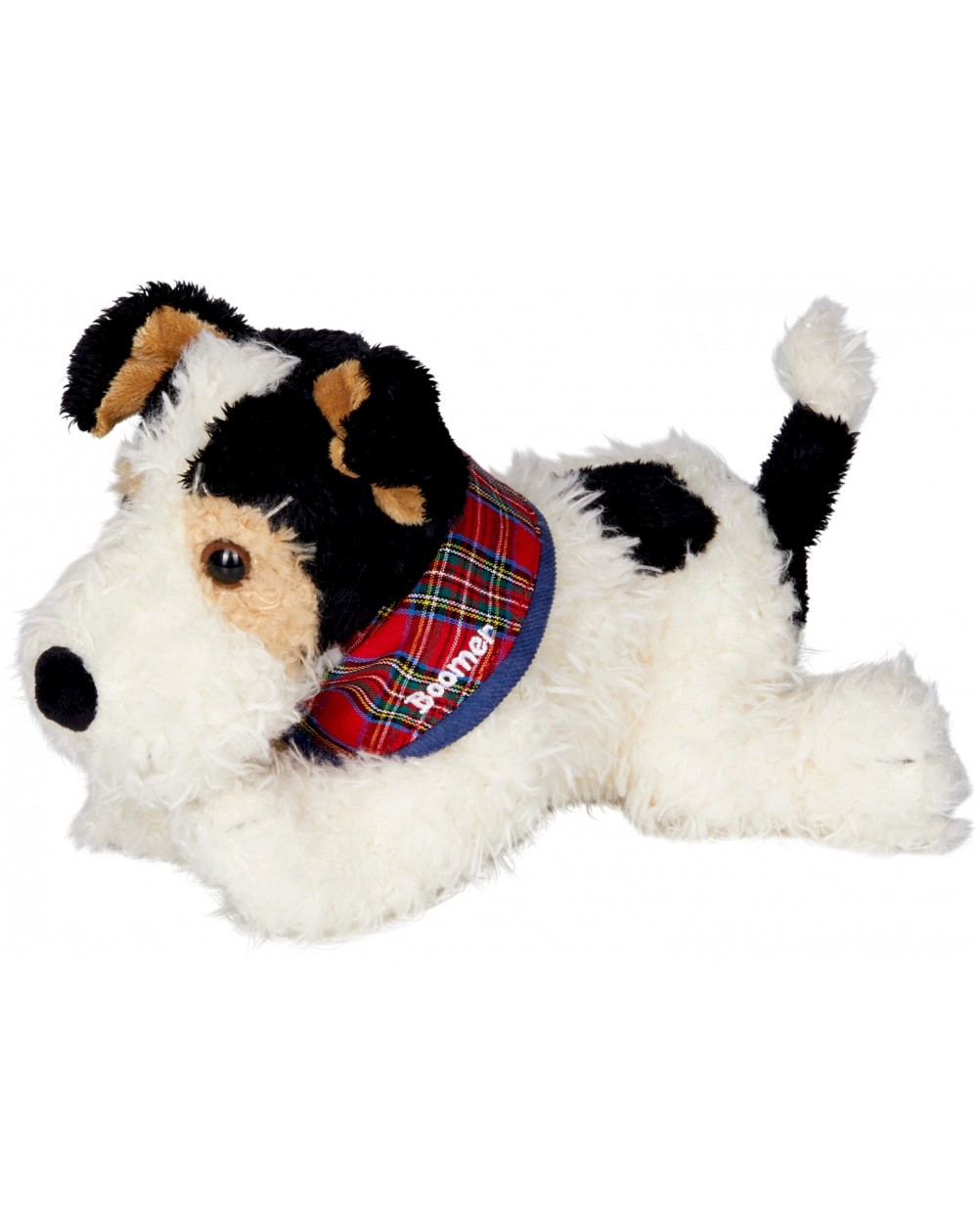 Foxterrier Boomer