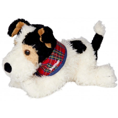 Foxterrier Boomer