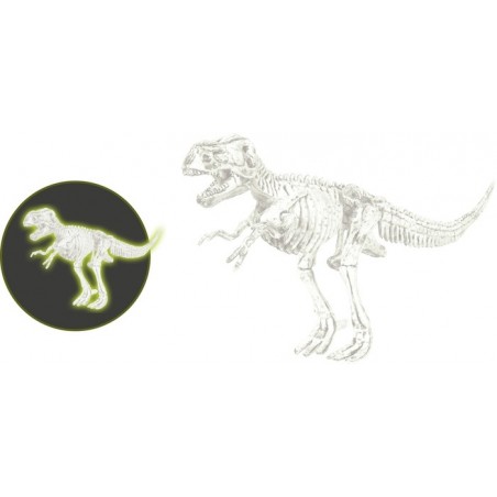 Glow in the dark Tyrannosaurus Rex