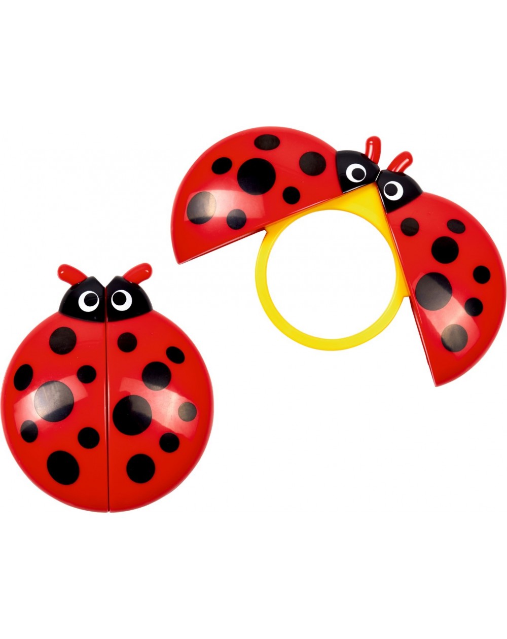 Lieveheersbeestje vergrootglas