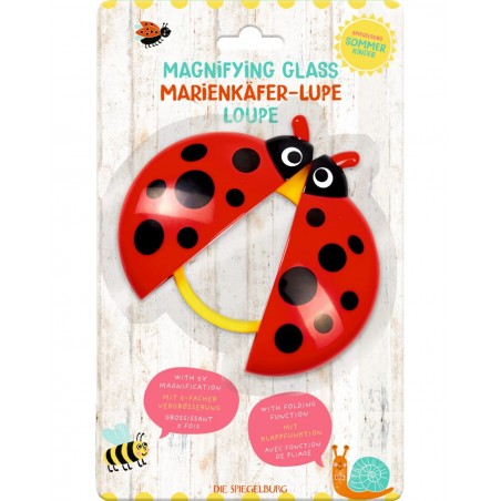 Lieveheersbeestje vergrootglas